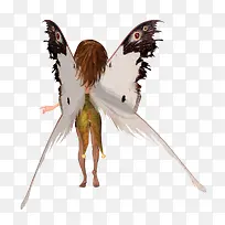 卡通女人蝴蝶翅膀背部png素材-空若网 卡通女人蝴蝶翅膀背部png素材-空若网