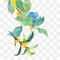 ÂÌÉ«¿¨Í¨ÊÖ»æÊ÷Ö¦-¿ÕÈôÍø ÂÌÉ«¿¨Í¨ÊÖ»æÊ÷Ö¦-¿ÕÈôÍø