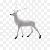 白色梦幻驯鹿纯洁-空若网 白色梦幻驯鹿纯洁-空若网