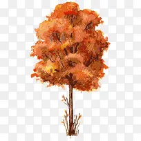 �� ��ľ-������