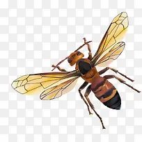 一只大黄蜂-空若网 一只大黄蜂-空若网