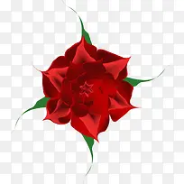 漂亮的玫瑰花-空若网 漂亮的玫瑰花-空若网