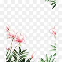手绘玉兰花装饰背景-空若网 手绘玉兰花装饰背景-空若网