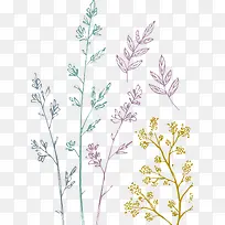 �������ֲ��-������