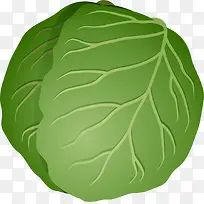 绿色蔬菜包菜-空若网 绿色蔬菜包菜-空若网
