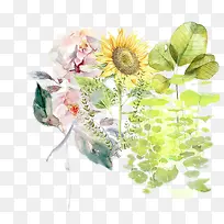 �ֻ�����ֲ�Ｏ��-������