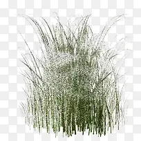 С��-������