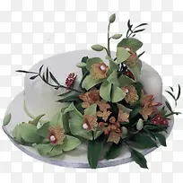 树藤-空若网 树藤-空若网