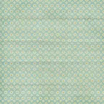 ��ɫ�ջ�����-������