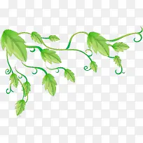 手绘曲线树藤装饰矢量图-空若网 手绘曲线树藤装饰矢量图-空若网
