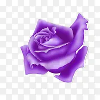 �����ֻ�ֲ�ﻨͼƬ-������