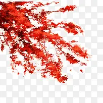 ��ɫ�ķ�Ҷ-������