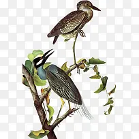 ±ÈÒíË«Äñ-¿ÕÈôÍø ±ÈÒíË«Äñ-¿ÕÈôÍø