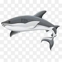 卡通手绘卡通鲨鱼插画-空若网 卡通手绘卡通鲨鱼插画-空若网