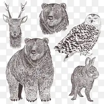 手绘动物素材-空若网 手绘动物素材-空若网