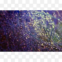 ��汳���ز�-������