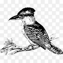 站在树枝上的小鸟-空若网 站在树枝上的小鸟-空若网