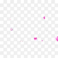 白色模糊花瓣 背景-空若网 白色模糊花瓣 背景-空若网