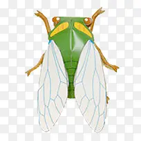 ��ͨ����-������