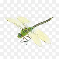 薄如蝉翼-空若网 薄如蝉翼-空若网