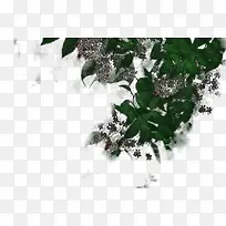 彩色个性花朵装饰-空若网 彩色个性花朵装饰-空若网