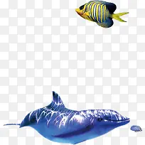 海底动物-空若网 海底动物-空若网