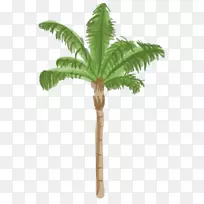 槟榔科树枣椰子皇后棕榈-空若网 槟榔科树枣椰子皇后棕榈-空若网