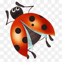 ��ͨ����ư��-������