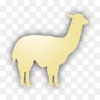 美洲驼安卓手机-烤肉串-空若网 美洲驼安卓手机-烤肉串-空若网