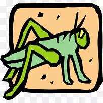 蜜蜂t恤剪辑艺术昆虫玛雅-空若网 蜜蜂t恤剪辑艺术昆虫玛雅-空若网