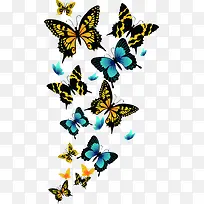 ��Ӱ�����������Ч��ͼ-������