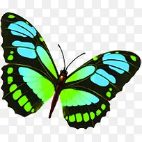 ��Ӱ����Ч���׵�ͼ����-������