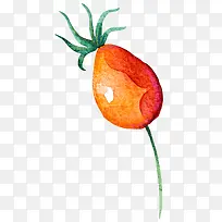 手绘瓜果蔬菜-空若网 手绘瓜果蔬菜-空若网