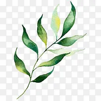 手绘瓜果蔬菜-空若网 手绘瓜果蔬菜-空若网