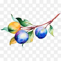 ÊÖ»æ¹Ï¹ûÊß²Ë-¿ÕÈôÍø ÊÖ»æ¹Ï¹ûÊß²Ë-¿ÕÈôÍø