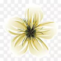 花束画-夏威夷花-空若网 花束画-夏威夷花-空若网