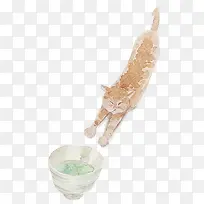 �ֻ�׼����ʳ���è��-������