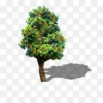 景观鸟瞰树-空若网 景观鸟瞰树-空若网