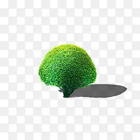 ���������-������