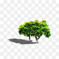 景观鸟瞰树-空若网 景观鸟瞰树-空若网