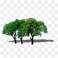 景观鸟瞰树-空若网 景观鸟瞰树-空若网