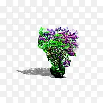 ���������-������