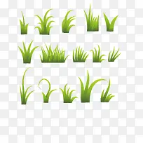 各种各样的绿草-空若网 各种各样的绿草-空若网
