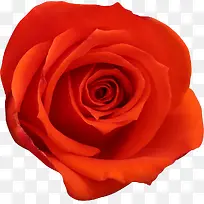 õ�廨��-������