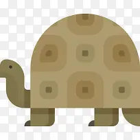 龟图标-空若网 龟图标-空若网