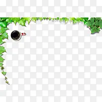 ÅÀɽ»¢ ÂÌɫֲÎï ¿§·È-¿ÕÈôÍø ÅÀɽ»¢ ÂÌɫֲÎï ¿§·È-¿ÕÈôÍø