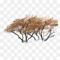 ������ɪƮɢ����-������