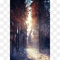 ��Ȼ���յ������-������