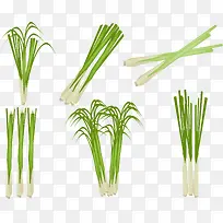 ʸ�����ʲݲ�ͼ-������