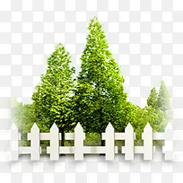 清新栅栏里的大树-空若网 清新栅栏里的大树-空若网